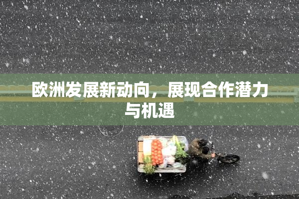 欧洲发展新动向，展现合作潜力与机遇
