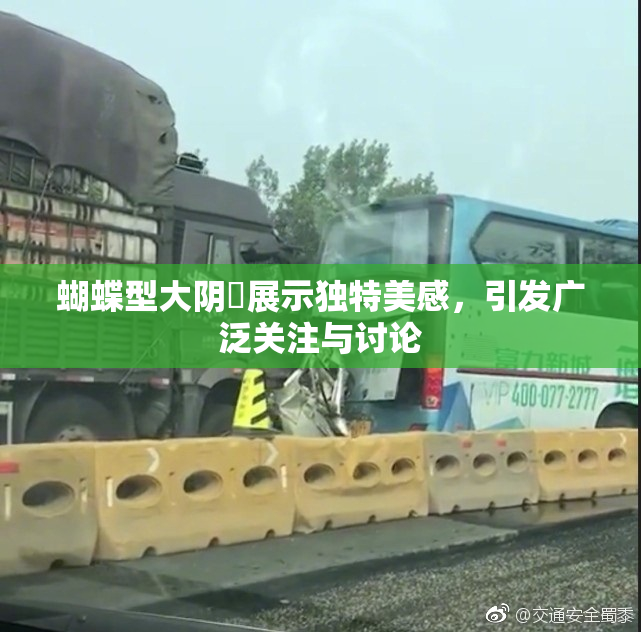 蝴蝶型大阴脣展示独特美感，引发广泛关注与讨论