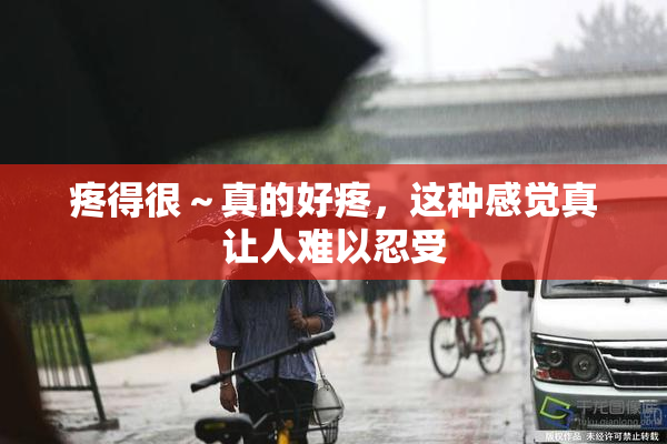 疼得很～真的好疼，这种感觉真让人难以忍受
