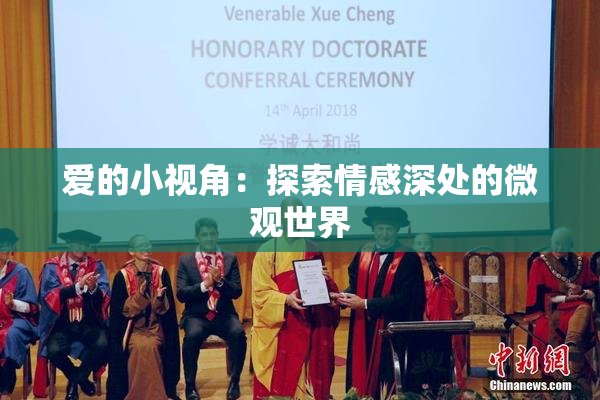 爱的小视角：探索情感深处的微观世界