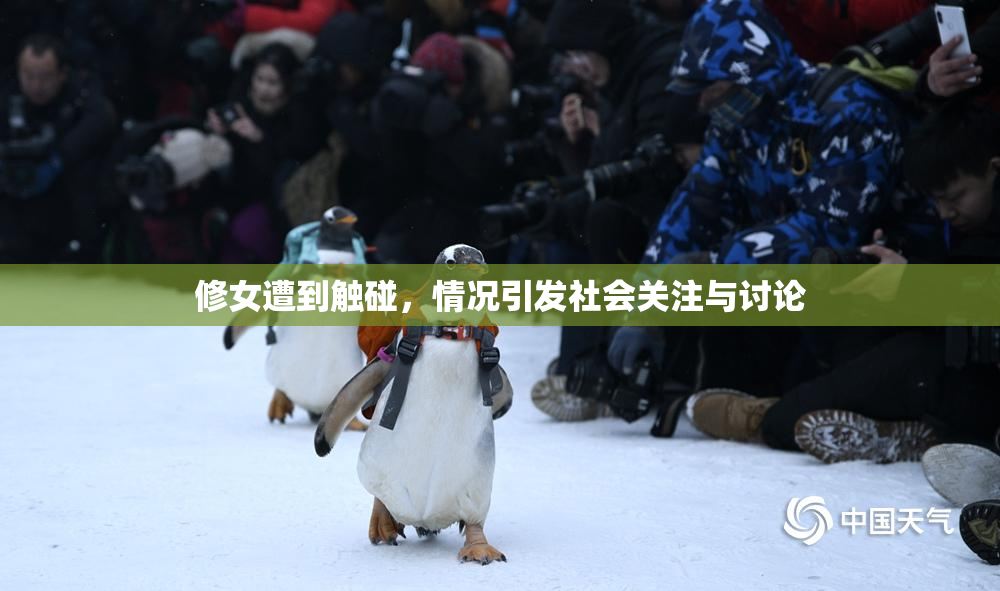 修女遭到触碰，情况引发社会关注与讨论