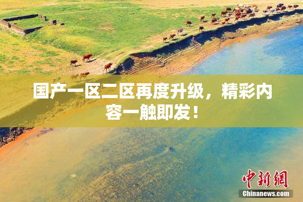 国产一区二区再度升级，精彩内容一触即发！