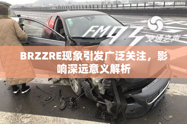 BRZZRE现象引发广泛关注，影响深远意义解析