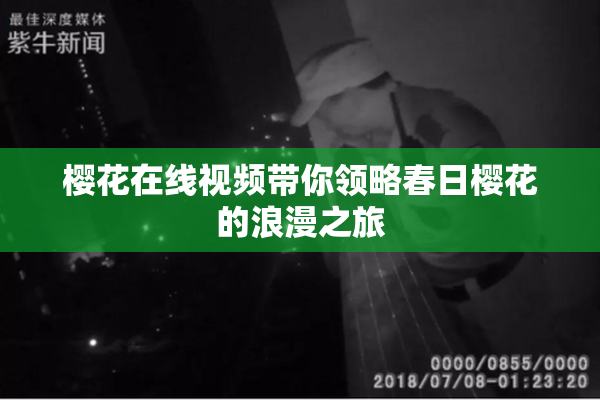 樱花在线视频带你领略春日樱花的浪漫之旅
