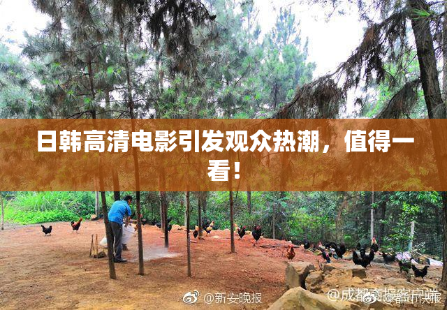 日韩高清电影引发观众热潮，值得一看！