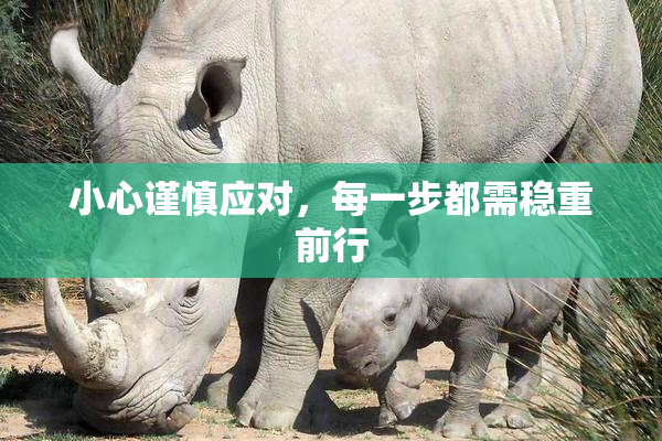 小心谨慎应对，每一步都需稳重前行