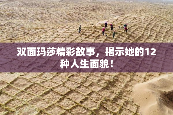双面玛莎精彩故事，揭示她的12种人生面貌！