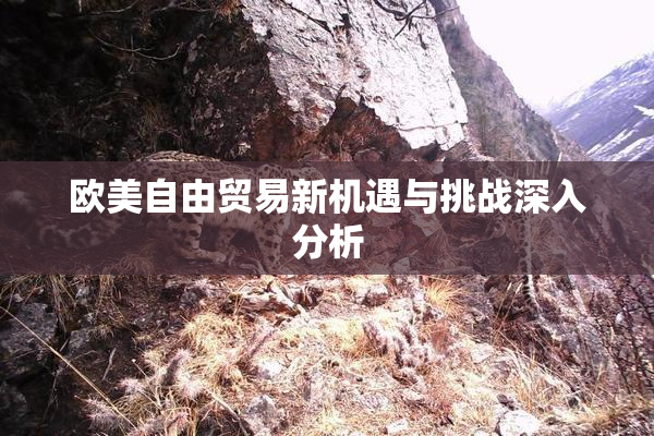欧美自由贸易新机遇与挑战深入分析