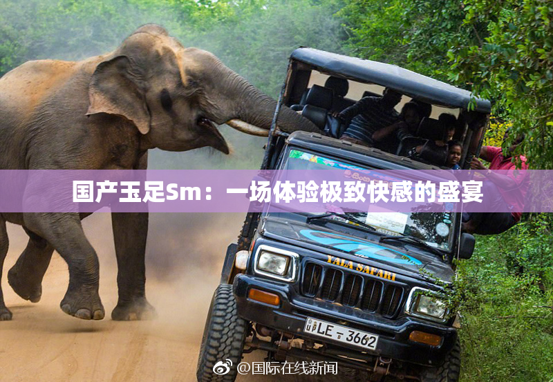 国产玉足Sm：一场体验极致快感的盛宴