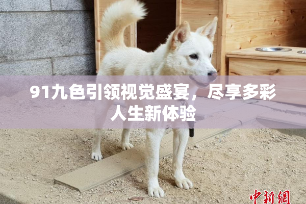 91九色引领视觉盛宴，尽享多彩人生新体验