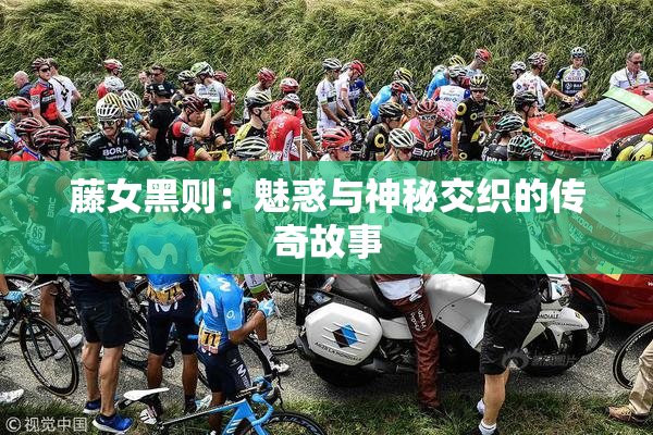 藤女黑则：魅惑与神秘交织的传奇故事