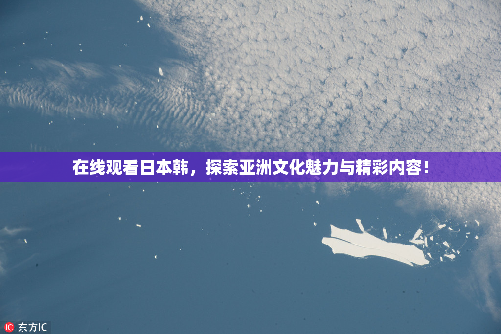 在线观看日本韩，探索亚洲文化魅力与精彩内容！