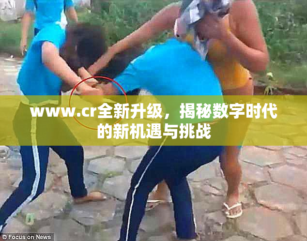 www.cr全新升级，揭秘数字时代的新机遇与挑战