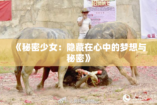 《秘密少女：隐藏在心中的梦想与秘密》