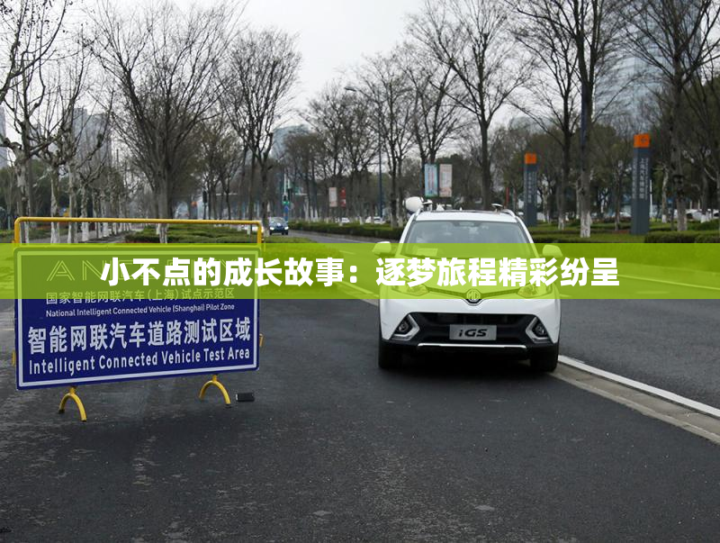 小不点的成长故事：逐梦旅程精彩纷呈