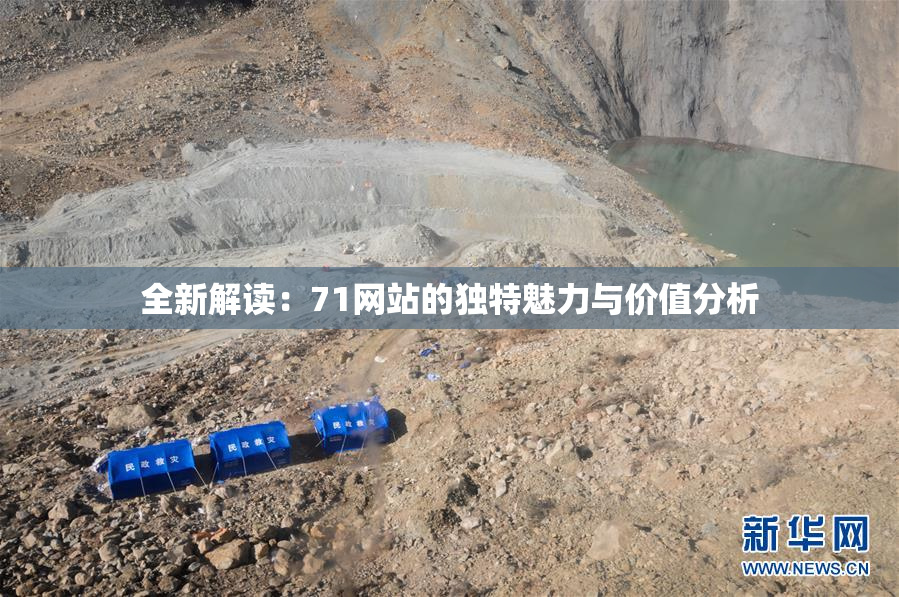 全新解读：71网站的独特魅力与价值分析