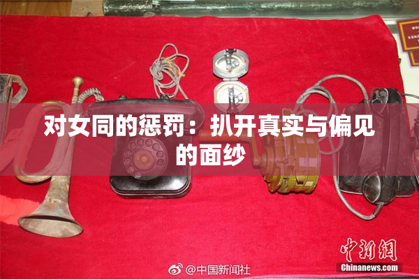 对女同的惩罚：扒开真实与偏见的面纱
