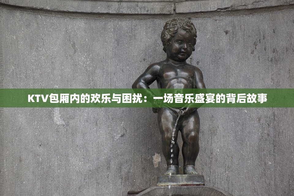KTV包厢内的欢乐与困扰：一场音乐盛宴的背后故事