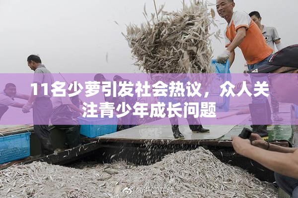 11名少萝引发社会热议，众人关注青少年成长问题