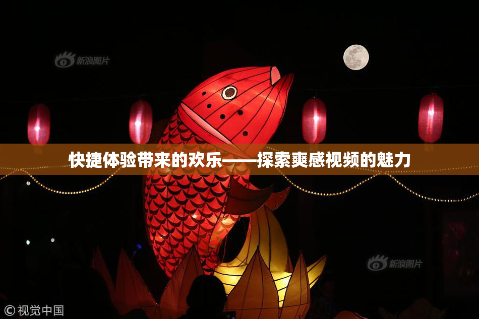 快捷体验带来的欢乐——探索爽感视频的魅力