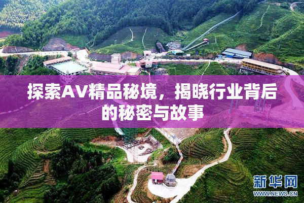 探索AV精品秘境，揭晓行业背后的秘密与故事