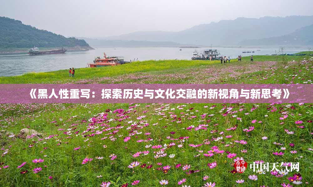 《黑人性重写：探索历史与文化交融的新视角与新思考》