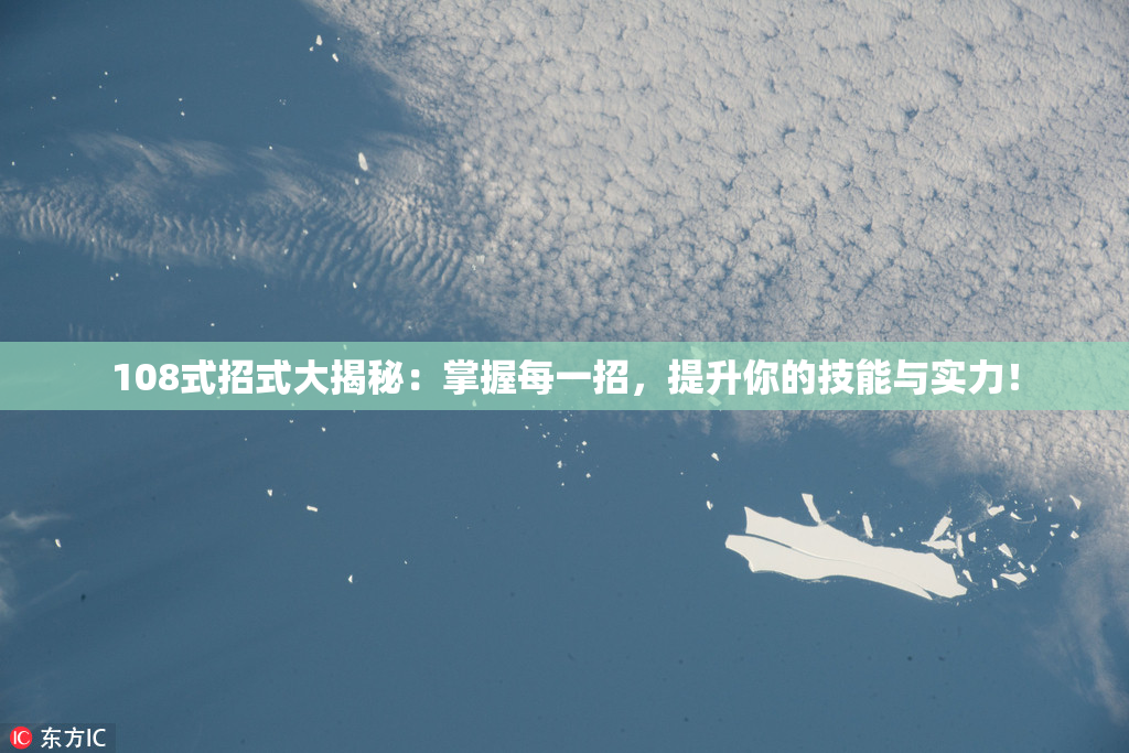 108式招式大揭秘：掌握每一招，提升你的技能与实力！