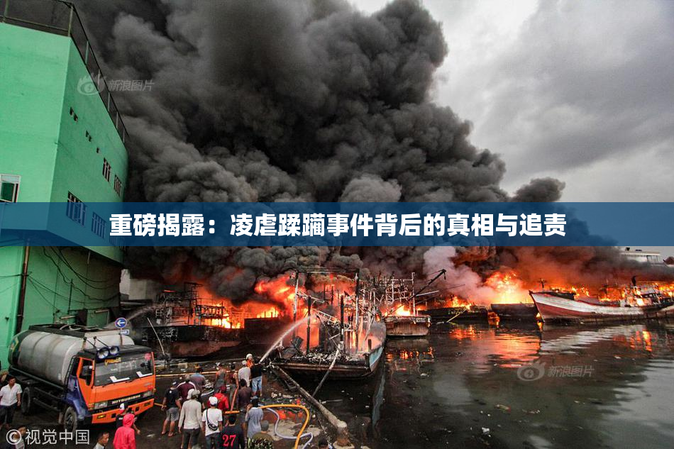 重磅揭露：凌虐蹂躏事件背后的真相与追责