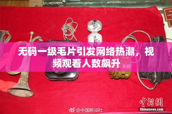 无码一级毛片引发网络热潮，视频观看人数飙升