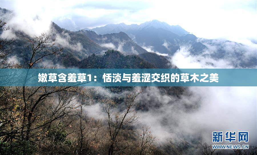嫩草含羞草1：恬淡与羞涩交织的草木之美