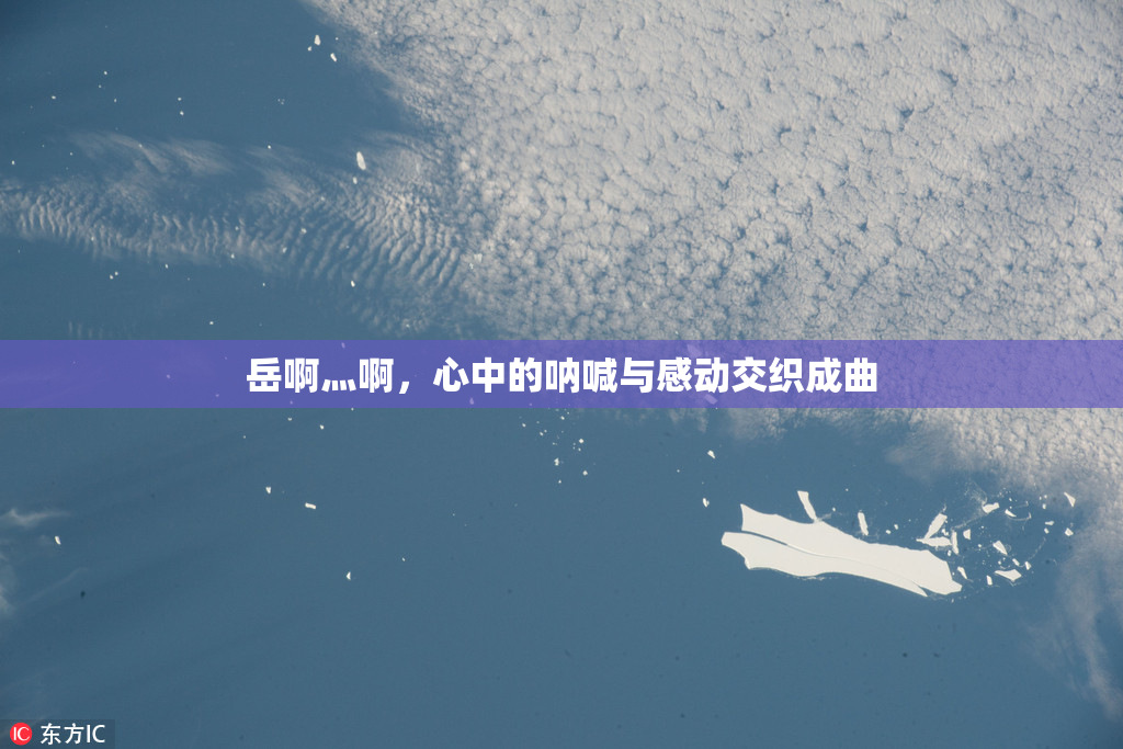 岳啊灬啊，心中的呐喊与感动交织成曲