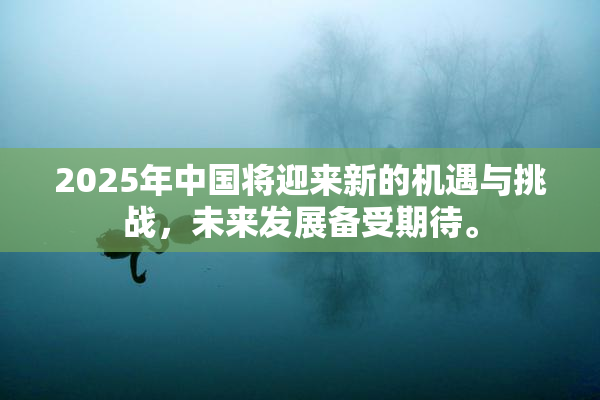 2025年中国将迎来新的机遇与挑战，未来发展备受期待。