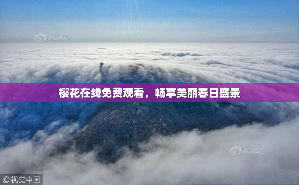 樱花在线免费观看，畅享美丽春日盛景