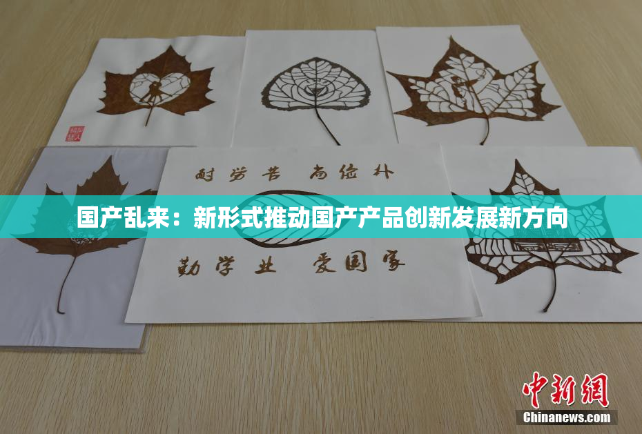 国产乱来：新形式推动国产产品创新发展新方向