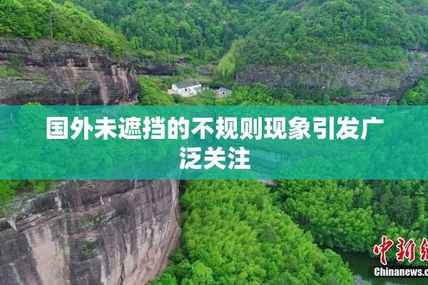 国外未遮挡的不规则现象引发广泛关注