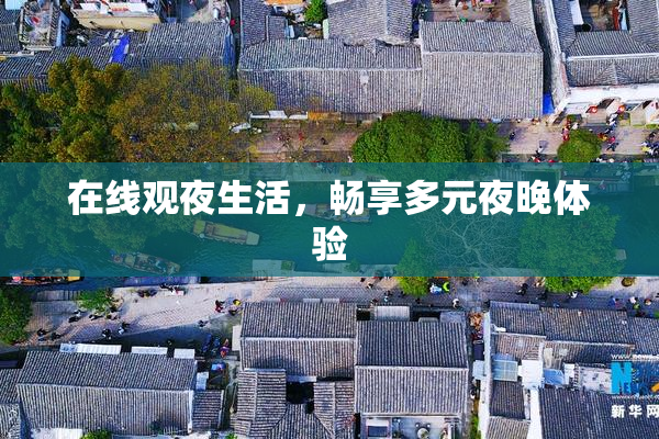 在线观夜生活，畅享多元夜晚体验