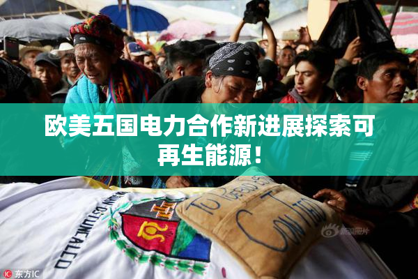 欧美五国电力合作新进展探索可再生能源！