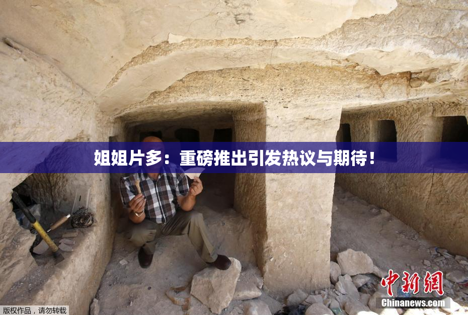 姐姐片多：重磅推出引发热议与期待！