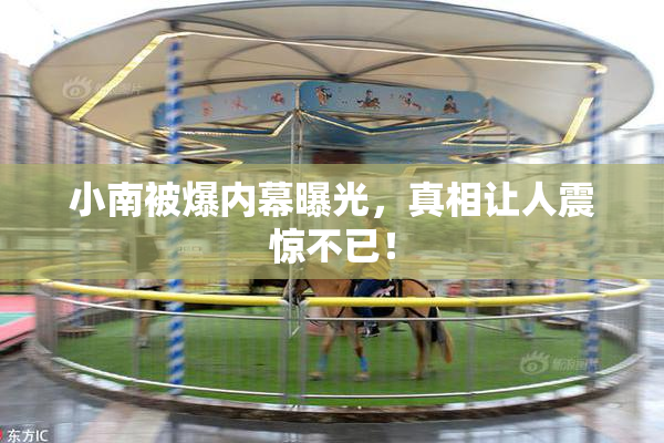 小南被爆内幕曝光，真相让人震惊不已！
