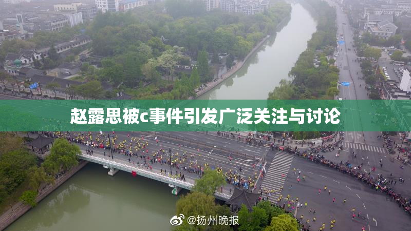 赵露思被c事件引发广泛关注与讨论