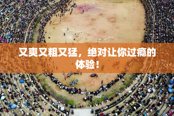 又爽又粗又猛，绝对让你过瘾的体验！