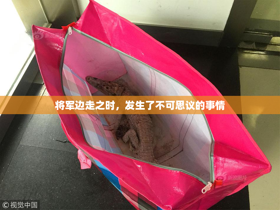 将军边走之时，发生了不可思议的事情