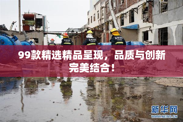 99款精选精品呈现，品质与创新完美结合！