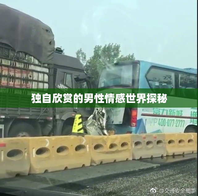 独自欣赏的男性情感世界探秘