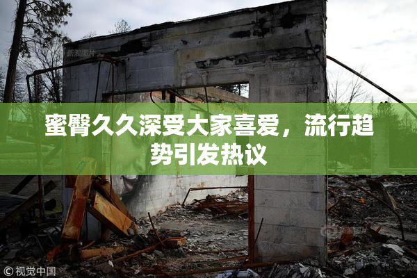 蜜臀久久深受大家喜爱，流行趋势引发热议