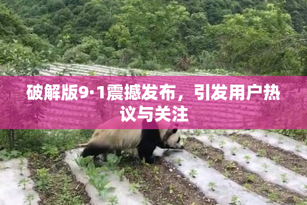 破解版9·1震撼发布，引发用户热议与关注