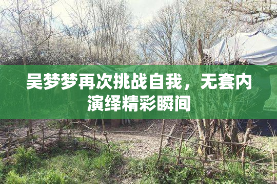 吴梦梦再次挑战自我，无套内演绎精彩瞬间