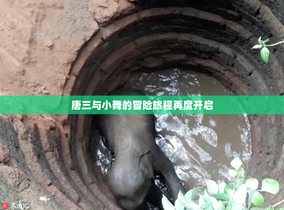 唐三与小舞的冒险旅程再度开启