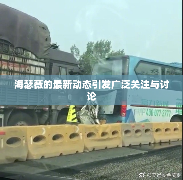 海瑟薇的最新动态引发广泛关注与讨论