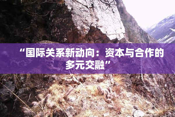 “国际关系新动向：资本与合作的多元交融”